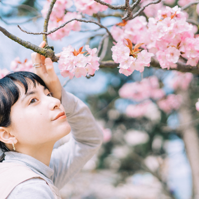 桜の枝に触れる外国人女性